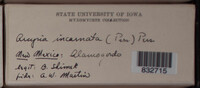 Image Associated With the Occurence